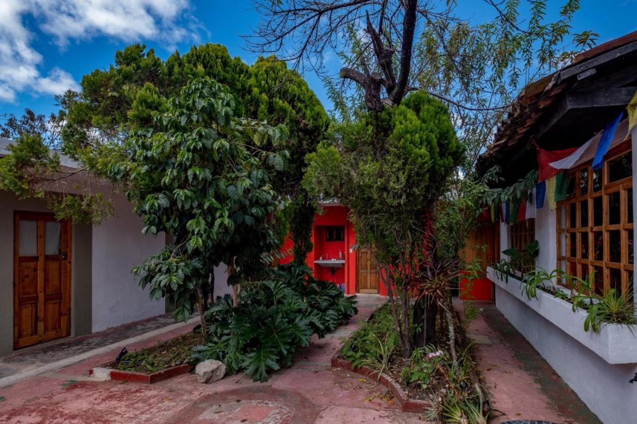 Fandango Hostel San Cristobal de las Casas Exterior photo